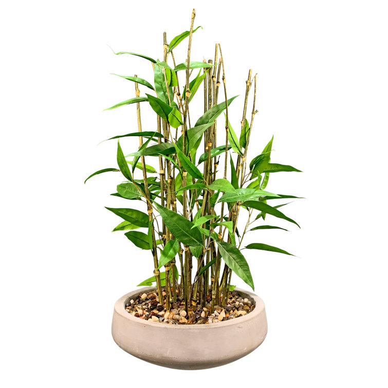 Primrue 26'' Bamboo in Cement Decorative Pot | Wayfair