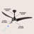 Coleigh 52'' Ceiling Fan with LED Lights-2010980607