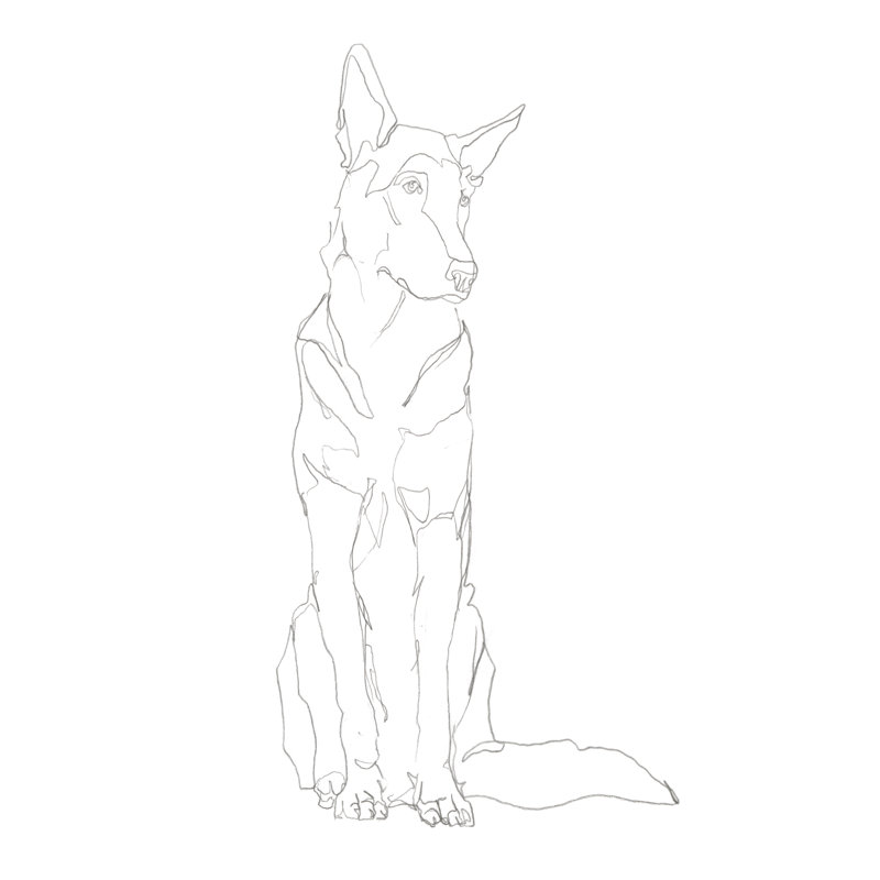 Contour de chien I, H 12 po x l 8 po x P 1,25 po