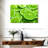Yarlin Lime Slices-108730367