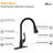 APPASO Pull Down Kitchen Faucet-53025009