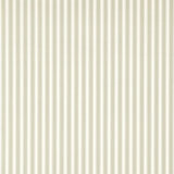 New Tiger Stripe Wallpaper