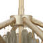 Gia 12 - Light Chandelier