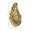 Heurtoir de porte American Oyster