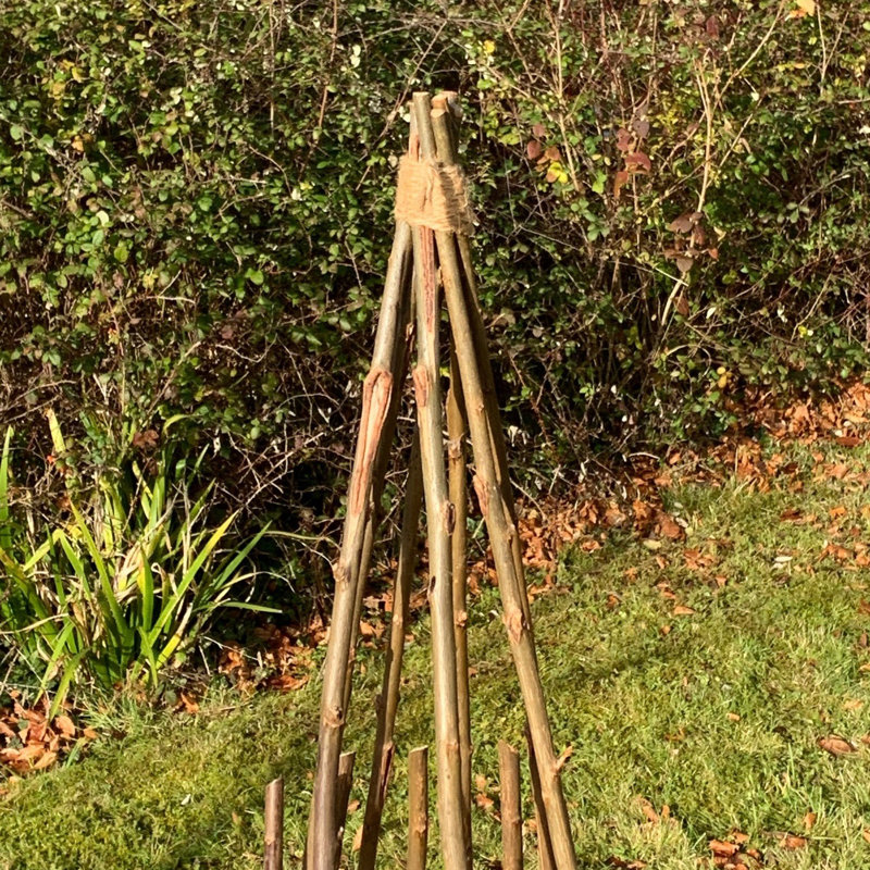 Andrickson Wood Obelisk Trellis, 150" H x 45" W x 45" D