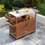 Plateau de table extérieur facile à déplacer, chariot-bar extérieur avec rangement, îlot de cuisine à roulettes pour la préparation des aliments-122993022