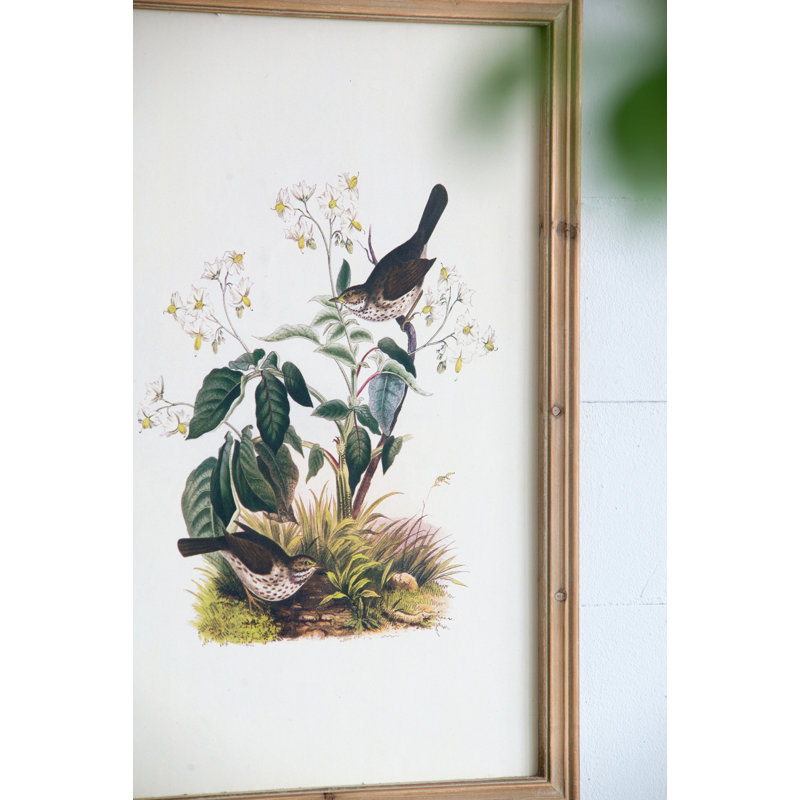 S/4 Bird Framed Print, 15.5X23.5"