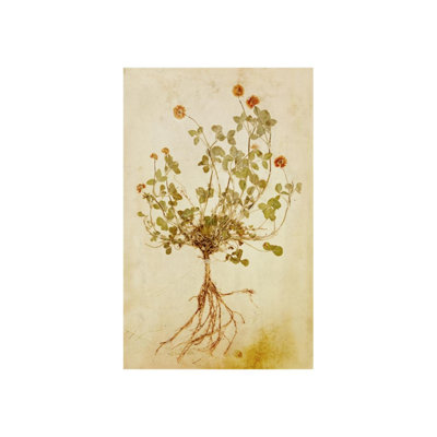 Fleurs pressées III par Michelle Bennett - impression