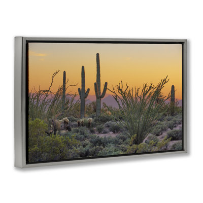 «Sunset Desertscape Cacti Floater» par Marty Hulsebos