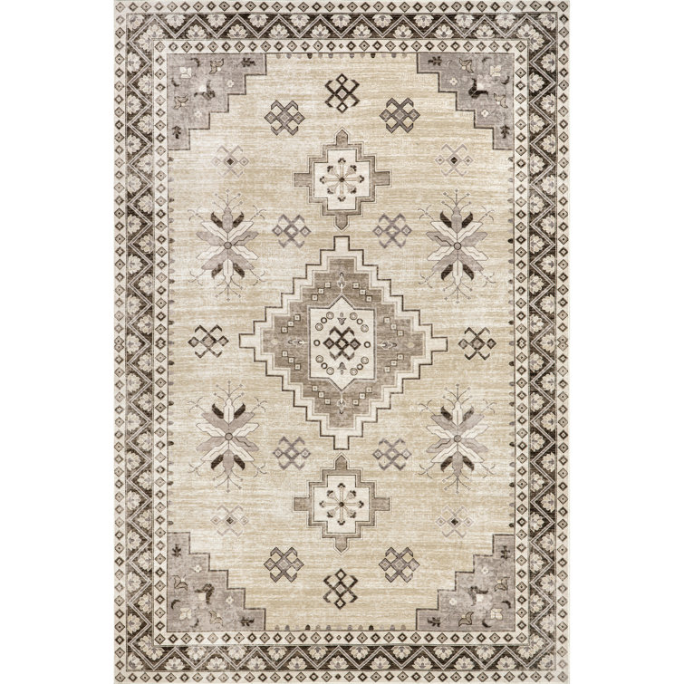 Haslett Geometric Machine Washable Area Rug