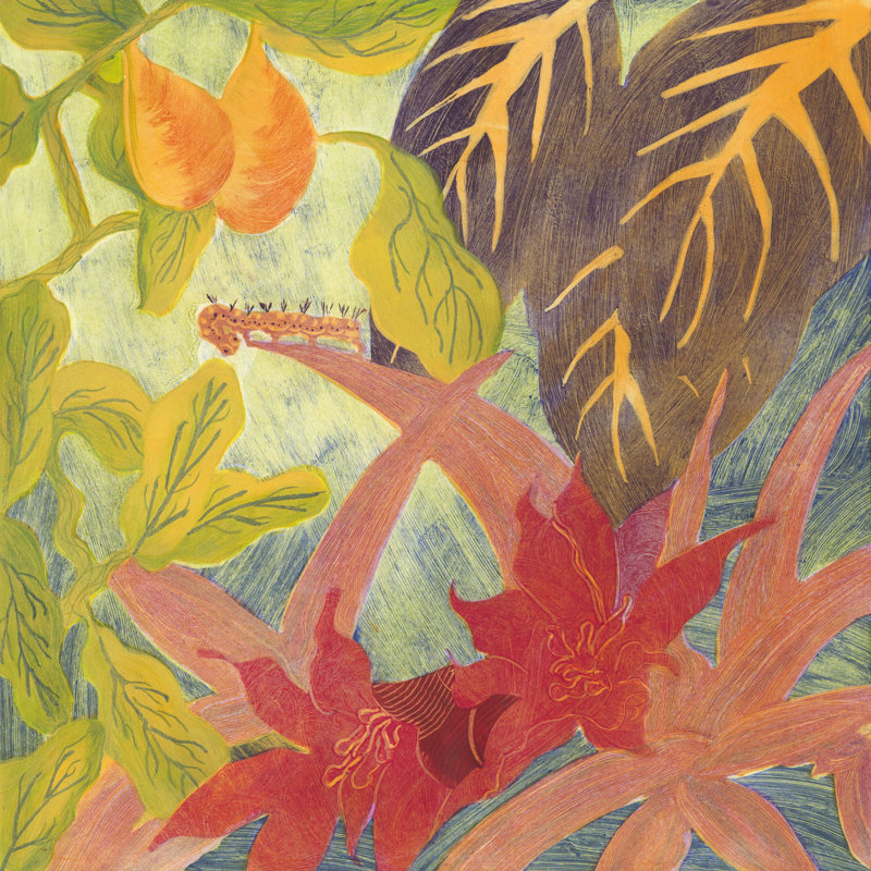 Tropical Monotype IV On Canvas by Carolyn Roth Painting