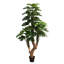 Arbre Monstera, en pot, touche réelle, feuilles vertes