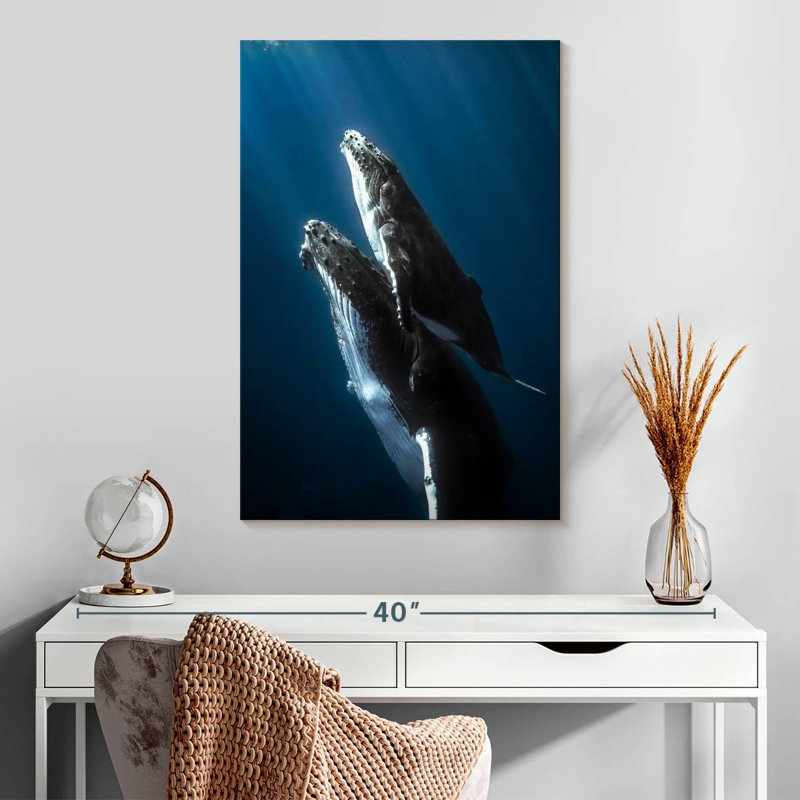 Baleine à bosse Brampt et son veau, H 30 po x l 20 po