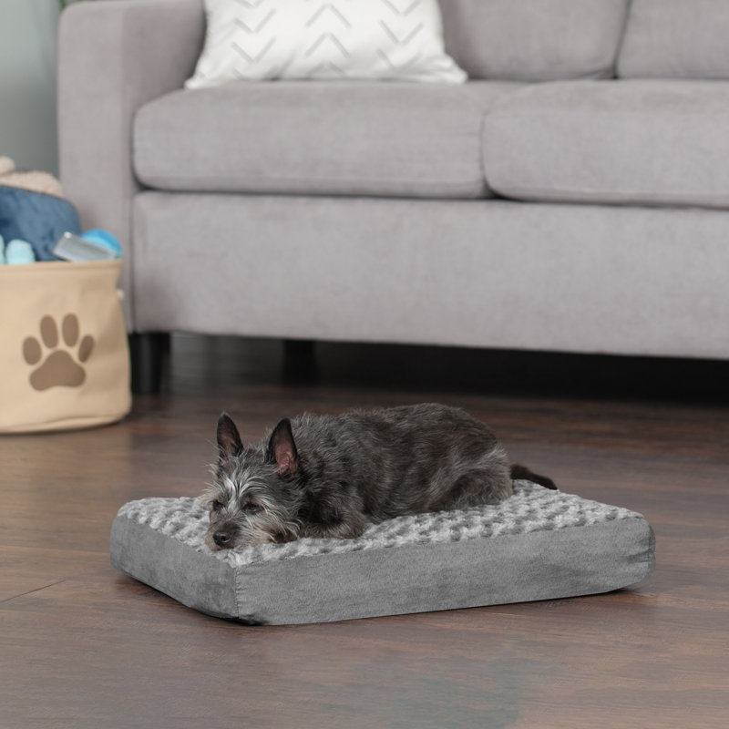 Orthopedic Polyester Pet Bed, Gray, Jumbo (40" W x 32" D x 4" H)