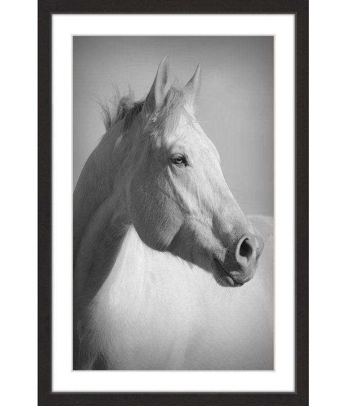 Melanie Snowhite - Single Picture Frame Print, 91cm H x 61cm W x 3.81cm D