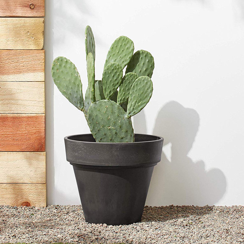 Jermoni Pot Planter, Gray