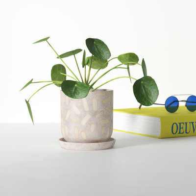 Catarine Ceramic Pot Planter