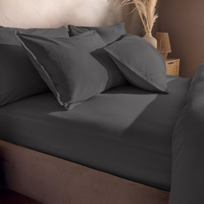 Silentnight Washed Cotton Rich Fitted Sheet