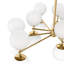 Zodiac 18 - Light Chandelier-782893861