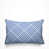 Bleuet des champs