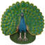 Statue de jardin plume de paon