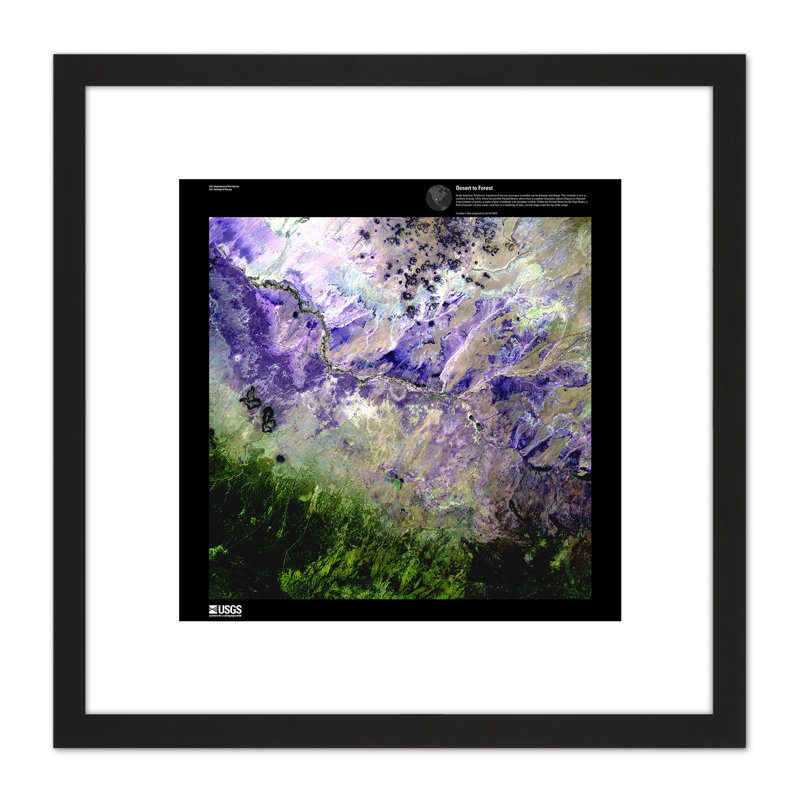 Earth Art USGS Desert To Forest - Single Picture Frame Painting