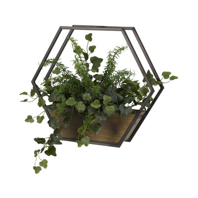 Plante ivy et rosemarys pour pulvérisation d’artisanat