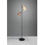 Kenisha 161cm Matte Traditional Floor Lamp-1651442833
