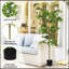 Arbre artificiel de 6 pi de hauteur, plante artificielle Polyscias Fruticosa pour la décoration intérieure, verdure en soie artificielle en pot pour le salon, le bureau, la décoration de la maison 1pc / ensemble 