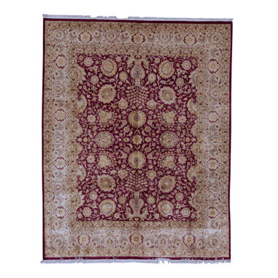 Hand-Knotted High-Quality Area Rug