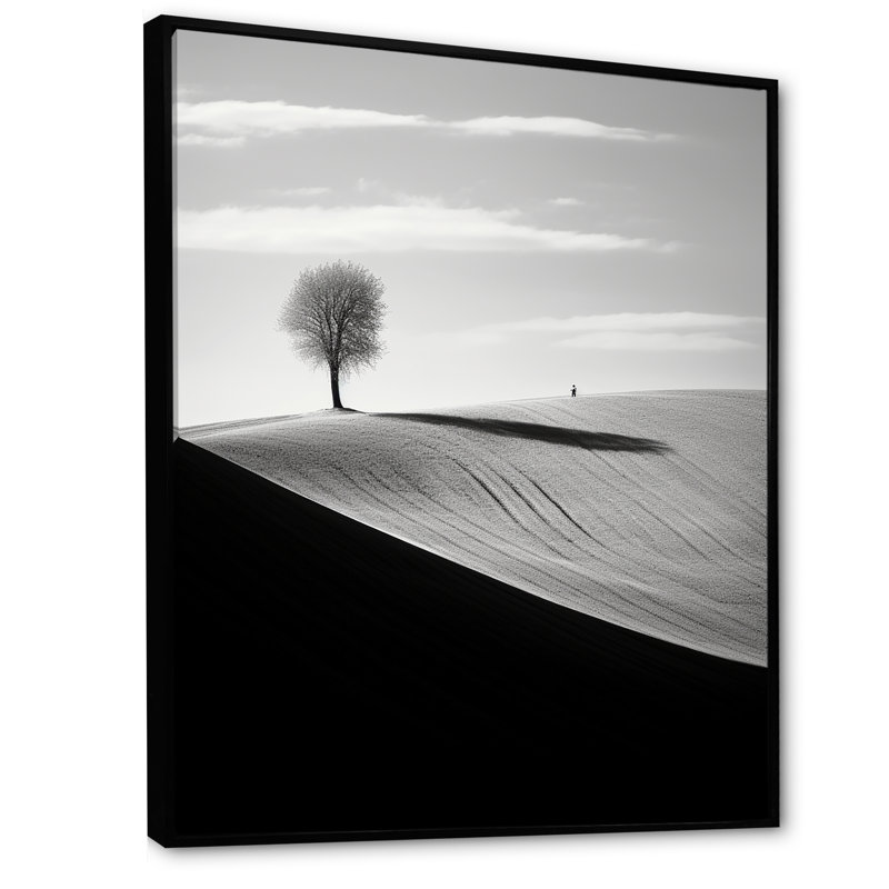 «I» en noir et blanc, horizon I, impression sur toile, Cadre flottant noir, H 40 po x l 30 po x P 1,5 po