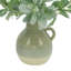 Lamb's Ear In A Ceramic Vase