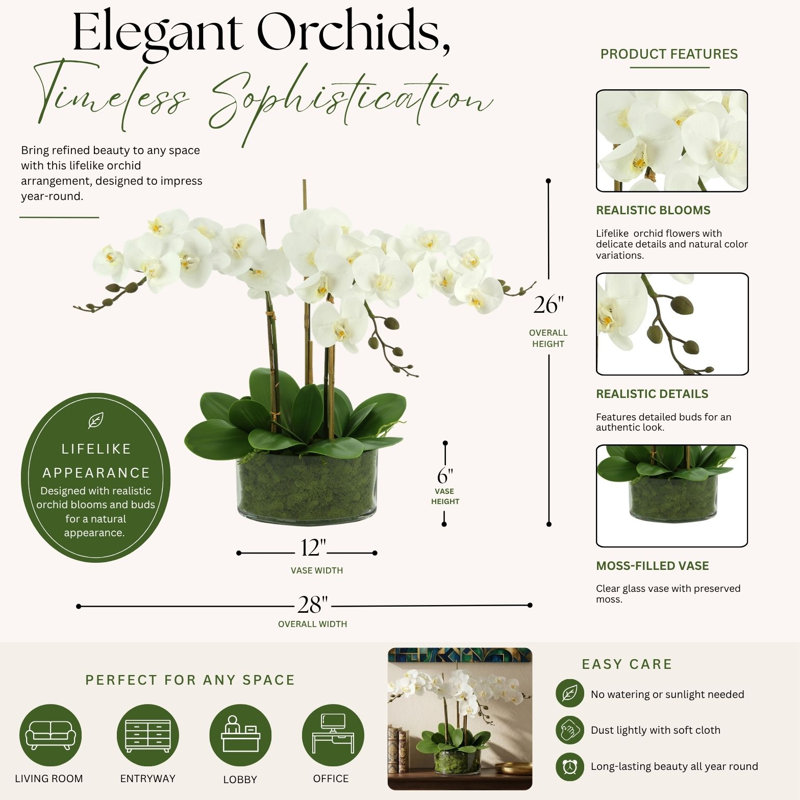 Organic Modern Orchid Arrangement