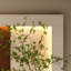 Décoration murale 3D avec DEL à 3 couleurs réglables, plantes simulées, vase en verre, statue de lapin et d'interface pour chambre à coucher, installation facile, sculpture d'arrangement de bricolage, statue, culture hydroponique