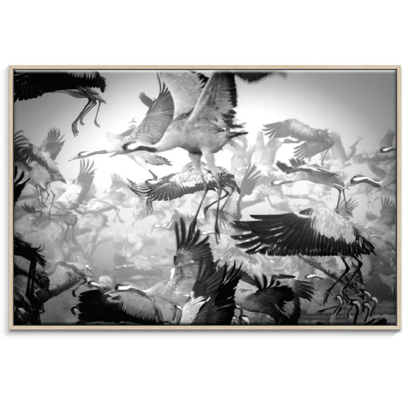 Photographers Lane - Wrapped Canvas Print, 102cm H x 152cm W, Timber