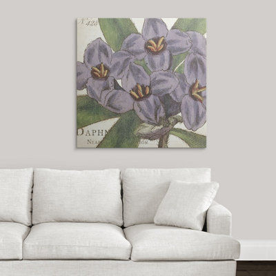 " Purple Floral "
