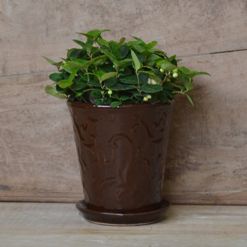 Anabelle Handmade Pot Planter, Espresso
