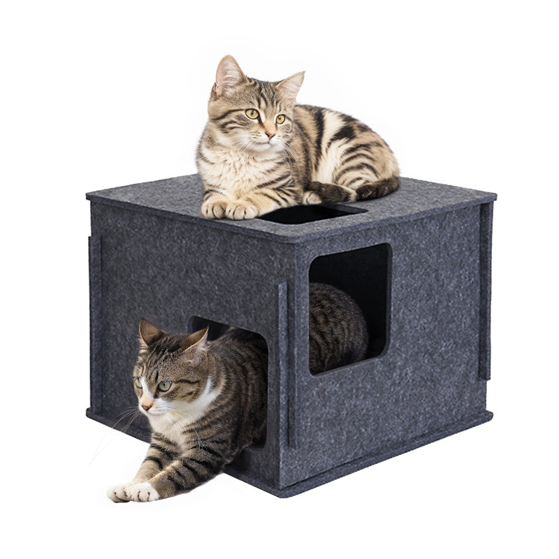 Maison pour chat 