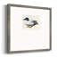 Colvert blanc et bleu Argeros - reproduction d'un seul cadre-2027657695