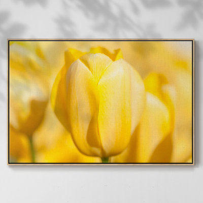 Sunshine Yellow II - Reproduction de photo sur toile simple