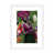 White Framed Paper is unavailable