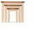 3 Piece Nest of Tables