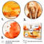 Kangourou brun et orange - Art mural animal kangourou-1553001733-1553001730