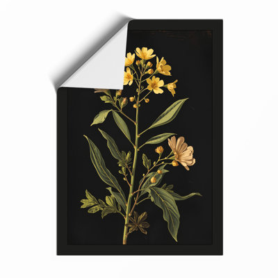 Golden Study Botanical - Framed Print