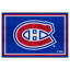 Tapis de porte antidérapant intérieur NHL-25121502-25121475