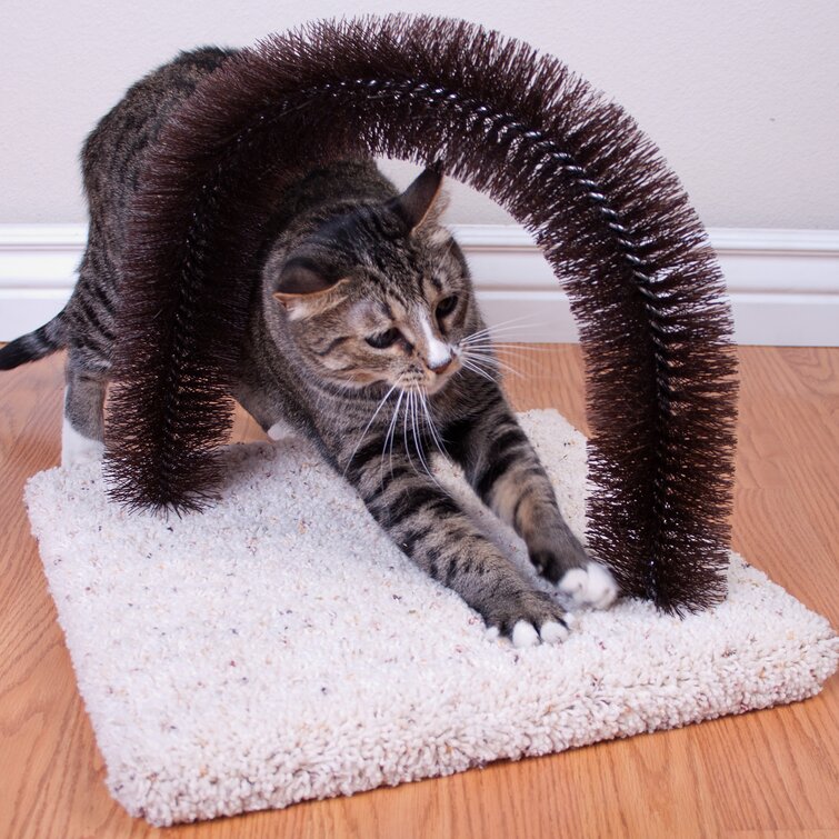 Cleaveland Brush-N-Scratch Cat Scratcher