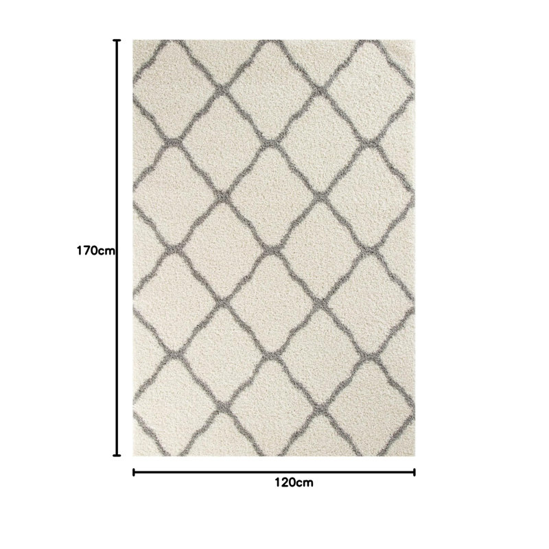 120cm X 170cm Area Rug