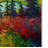 Kucera 'Ak' Print on Wrapped Canvas-22068841