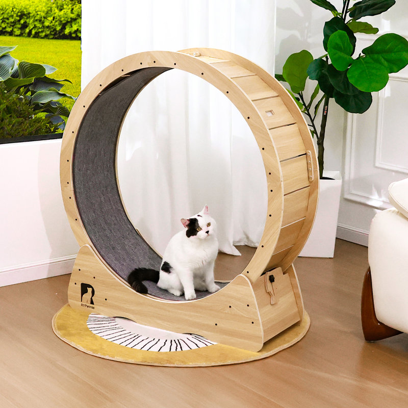 Roue de 39 po pour grand chat, Naturel
