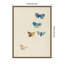 "Cinq papillons 1912 Odilion Redon" par Nostalgia Prints, reproduction d'art sur toile encadrée-1432367380